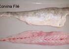 Corvina filé